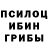 Галлюциногенные грибы прущие грибы Vladim Ch