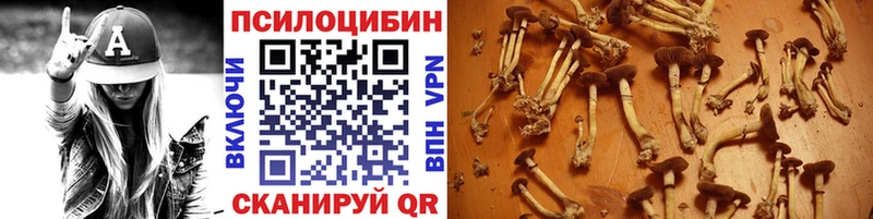 закладки  ОМГ ОМГ зеркало  Галлюциногенные грибы MAGIC MUSHROOMS  Курчатов 