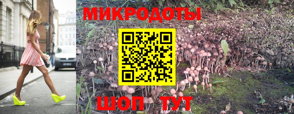 Псилоцибиновые грибы GOLDEN TEACHER Курчатов