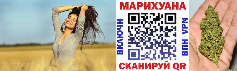 где найти   Курчатов  shop наркотические препараты  Каннабис OG Kush 